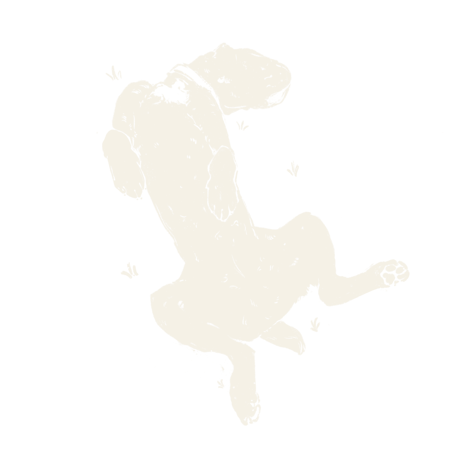 The Foraging Hound