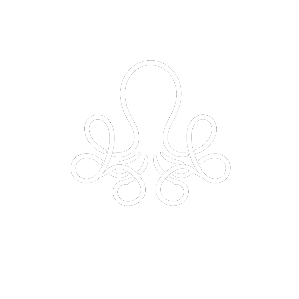 Octopus Studio