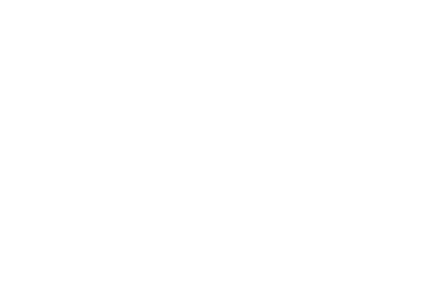 Brinassa