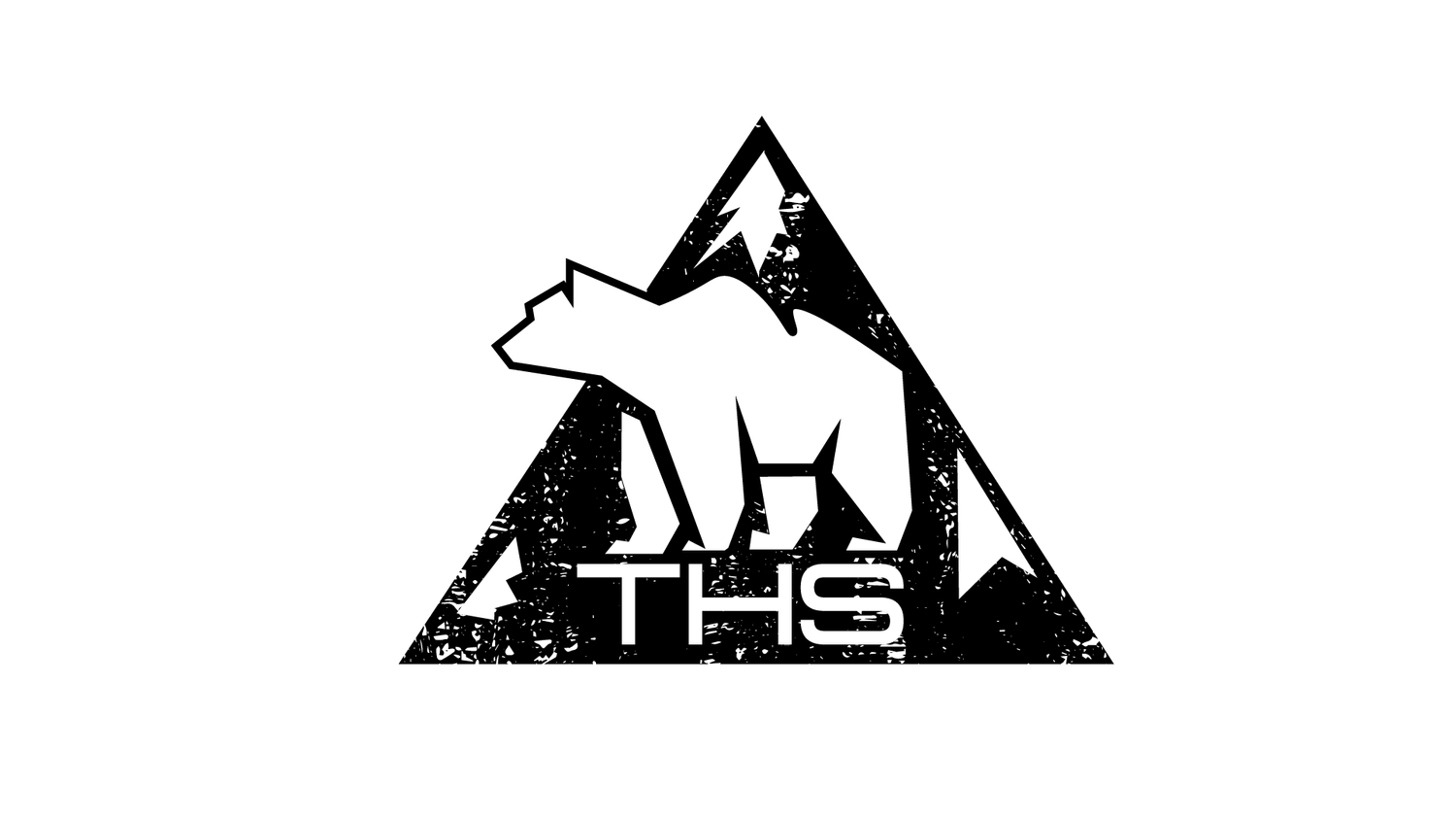 THS Cleaning and Restoration, LLC - Premium Mobile Detailing Services