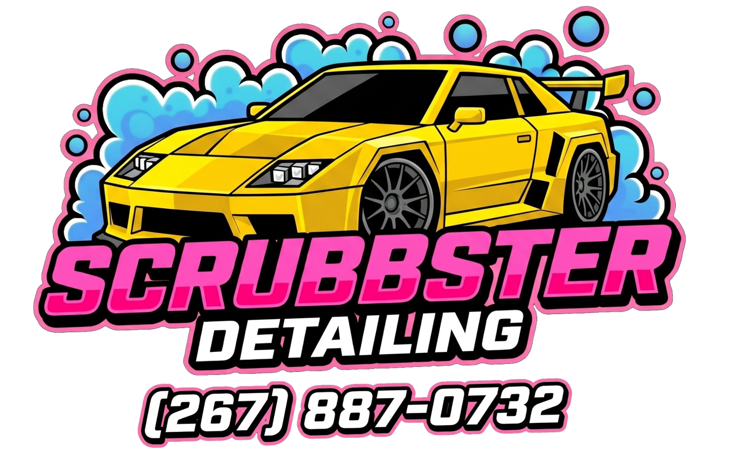Scrubbster Detailing
