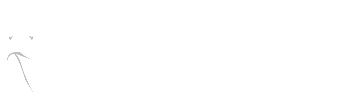 Little Red Dress Event Planning