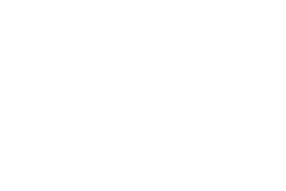 LAURA NÚÑEZ