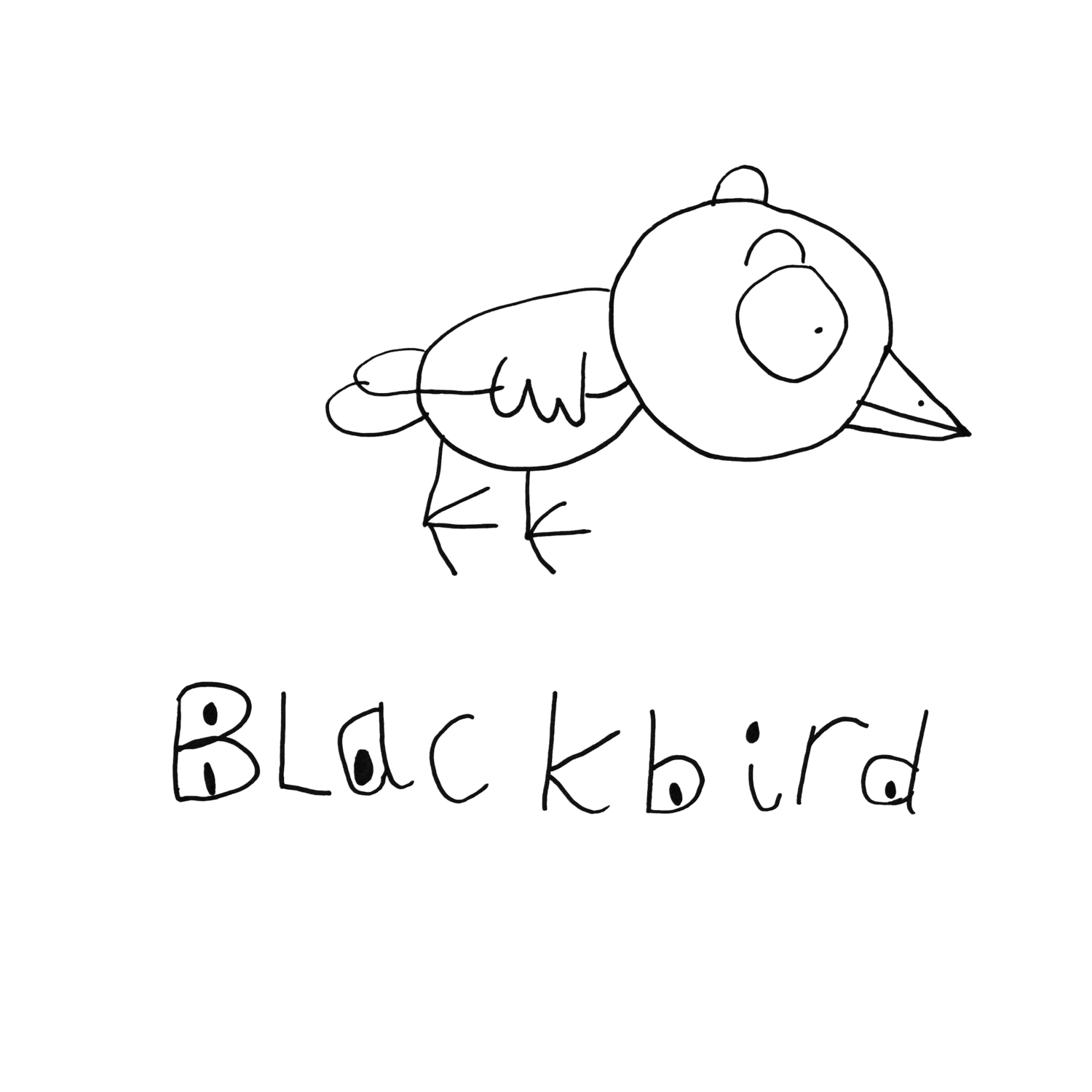 Blackbird SLT