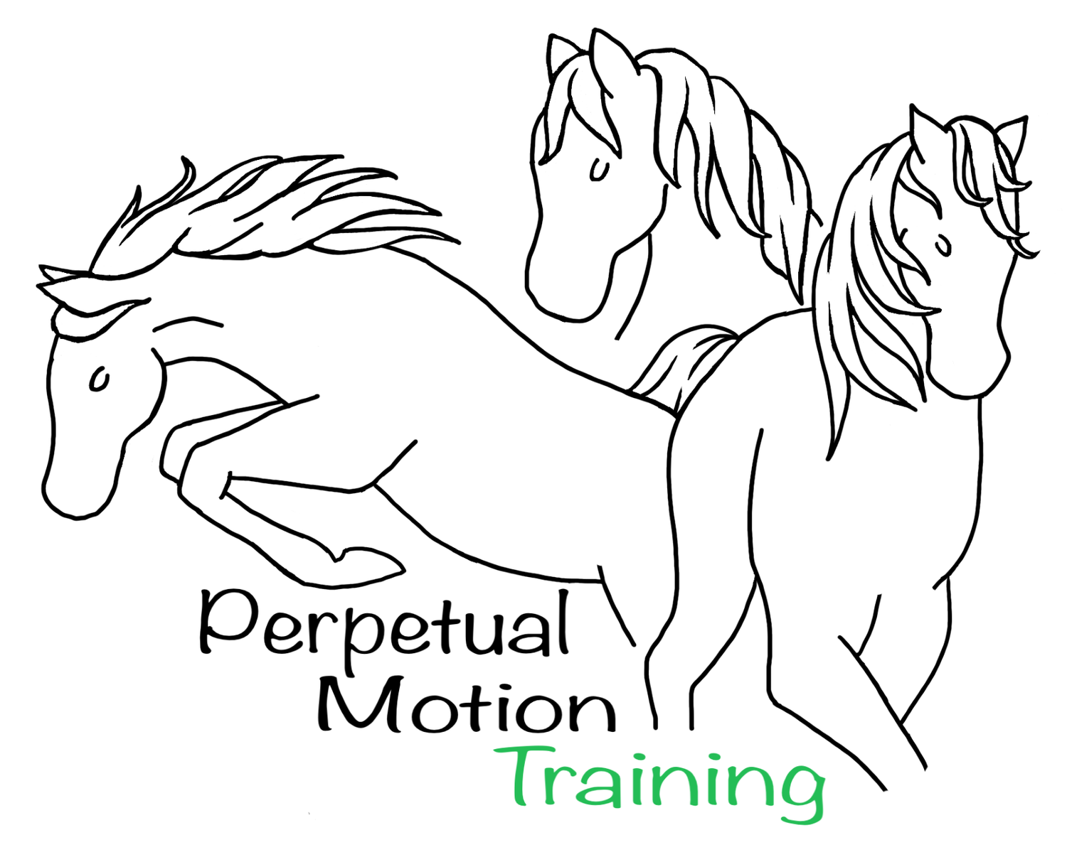 Perpetual Motion Training