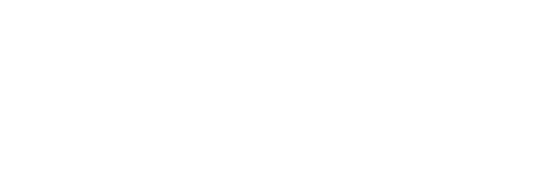 Stuurs