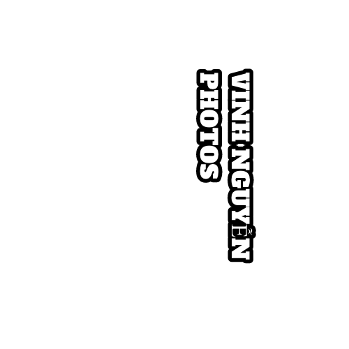 VinhNguyenPhotos