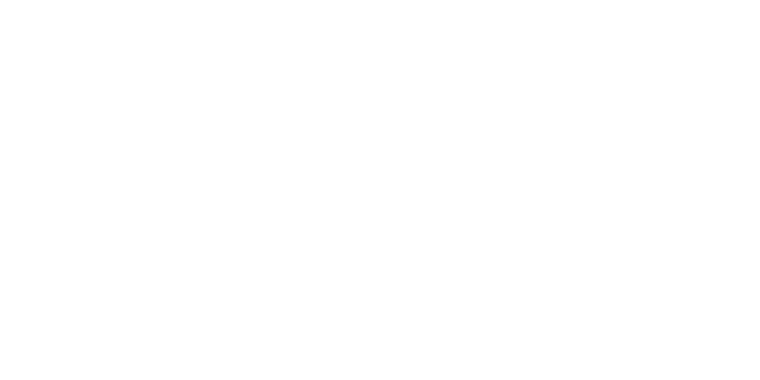 Allison Wilkins Photography