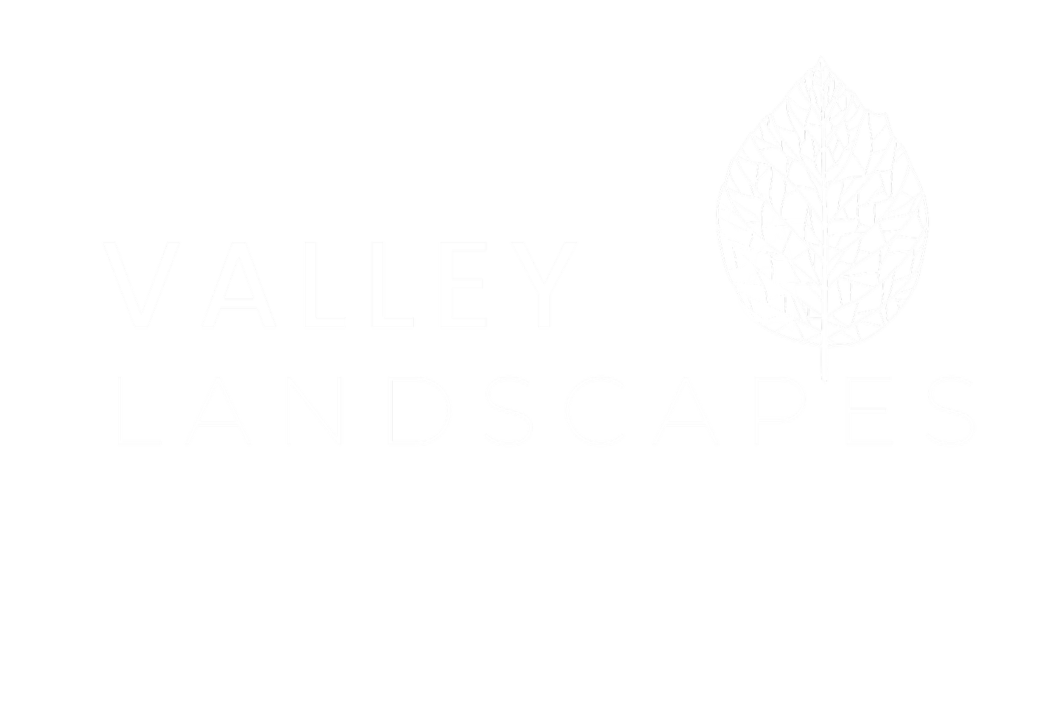 VALLEY LANDSCAPES