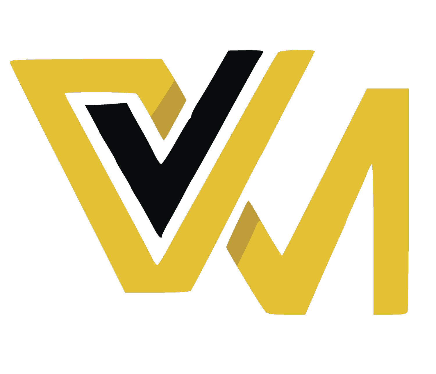 Victory Visionz Media