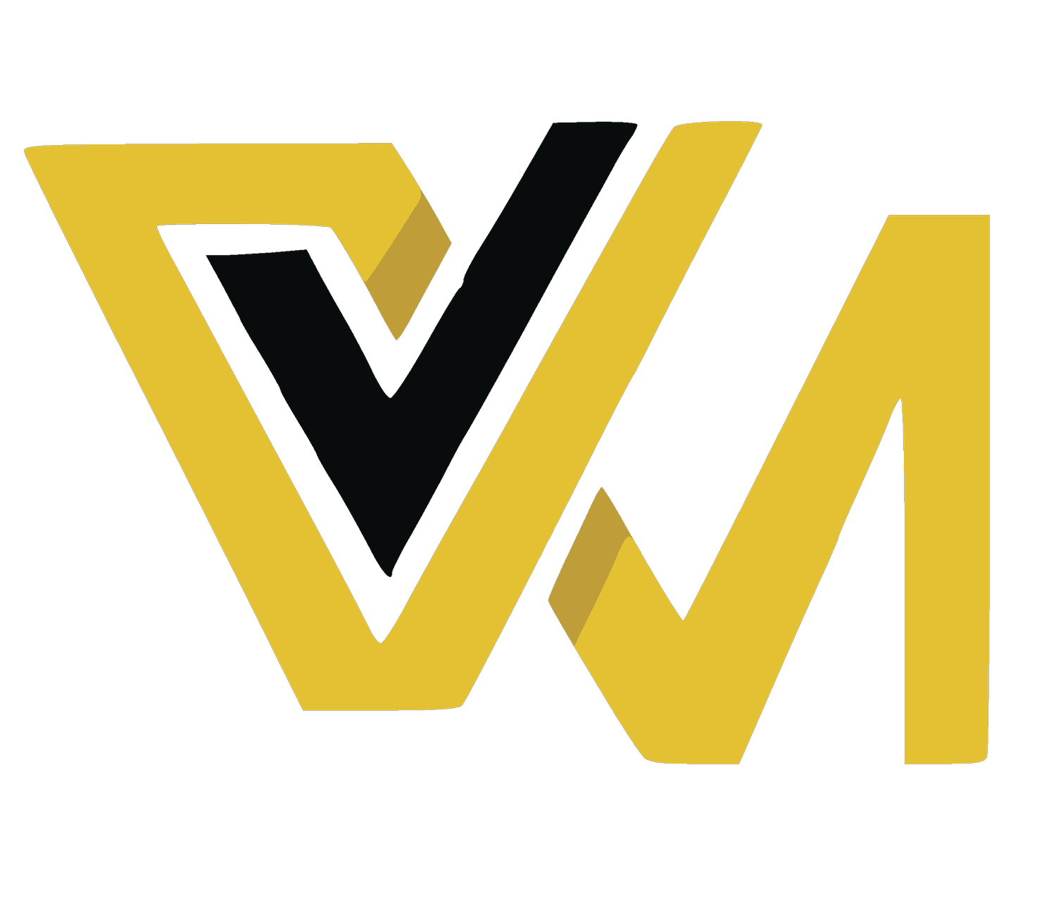 Victory Visionz Media