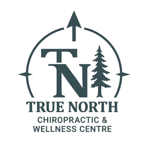 truenorthchiropracticyxe (Copy) (Copy)