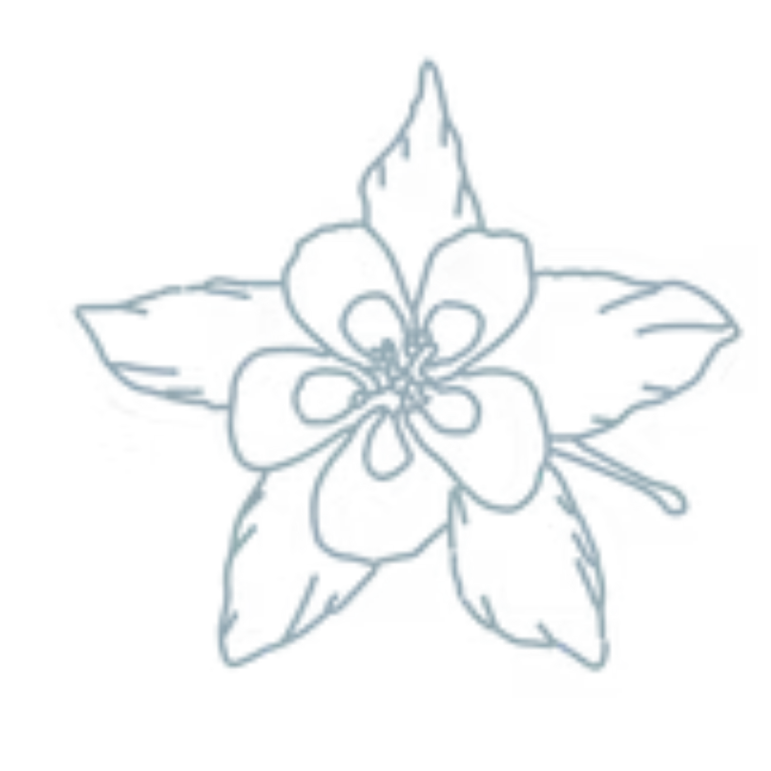 Blue Columbine Cohousing