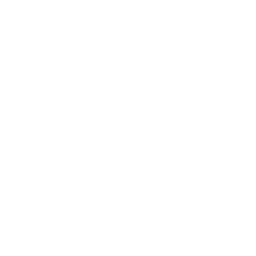 The Burke