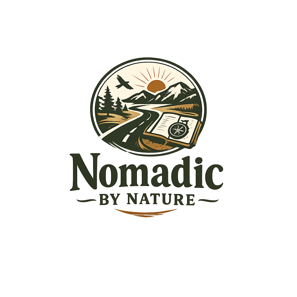 How Nomads Actually Make Money
