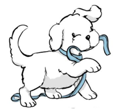 DalyDog