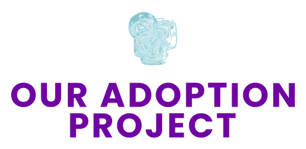 Our Adoption Project
