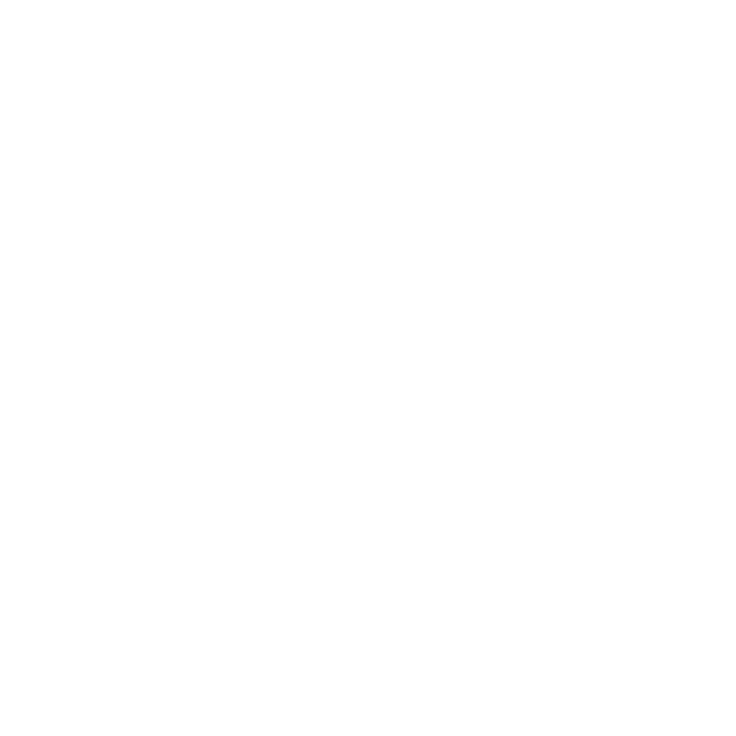Rally Stages