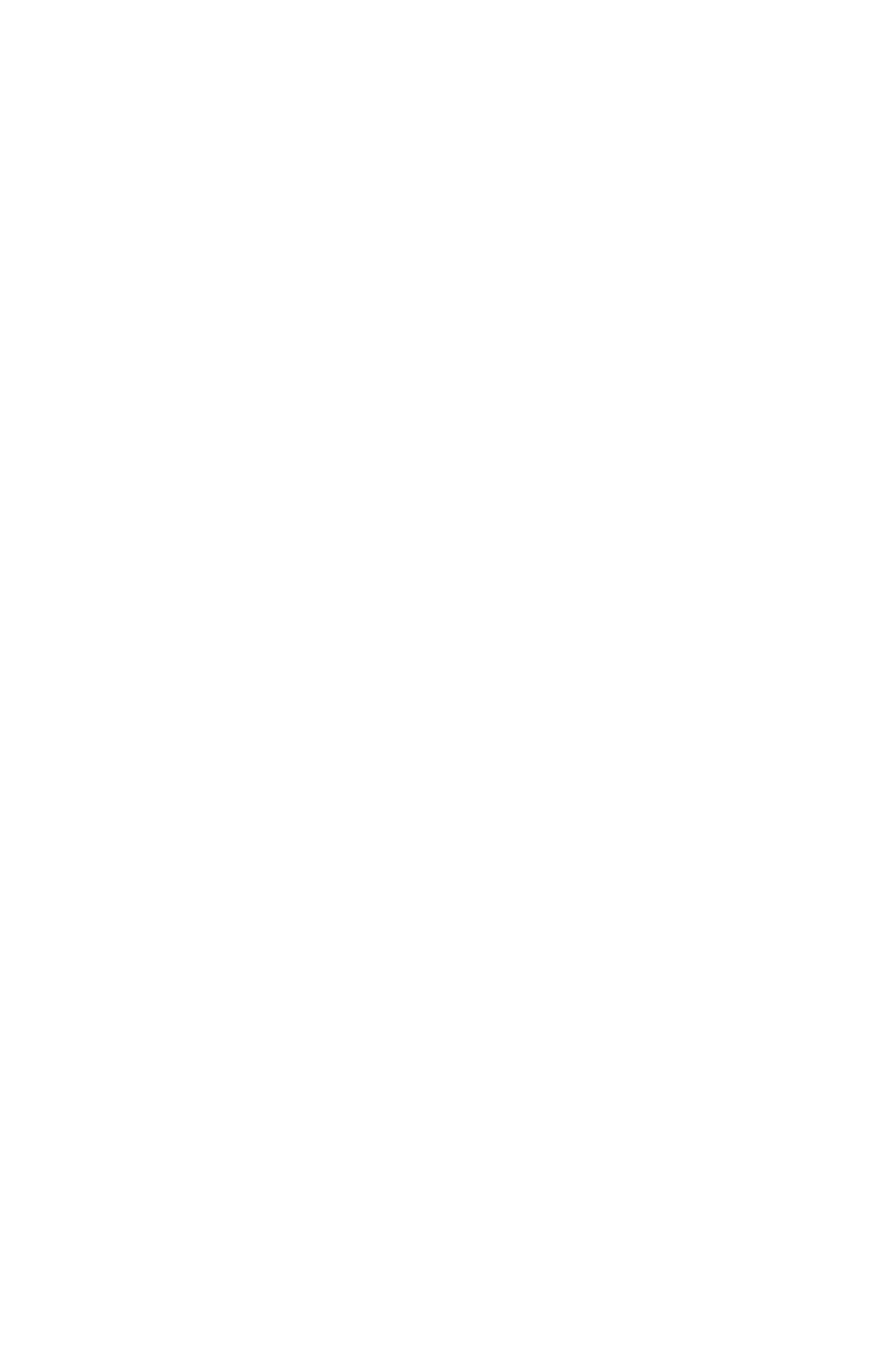 Meet The Rook