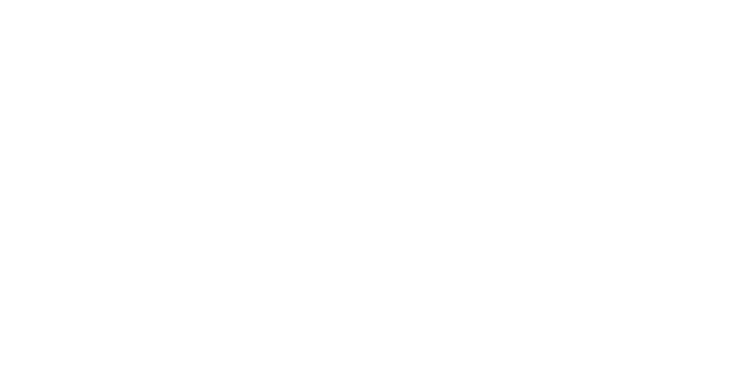 Meet The Rook