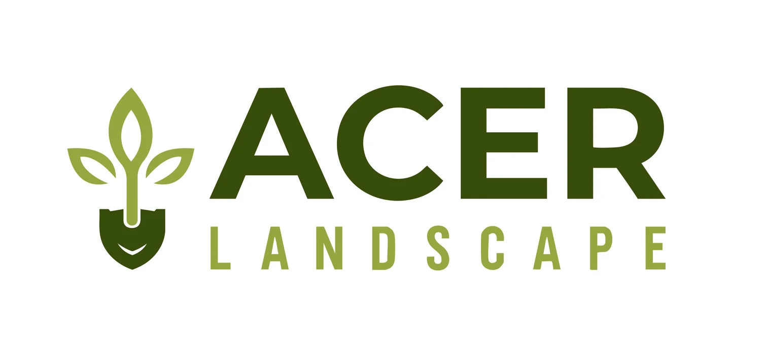 Acer Landscape