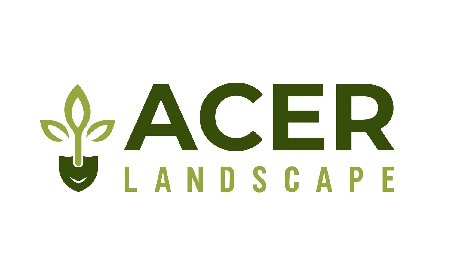 Acer Landscape