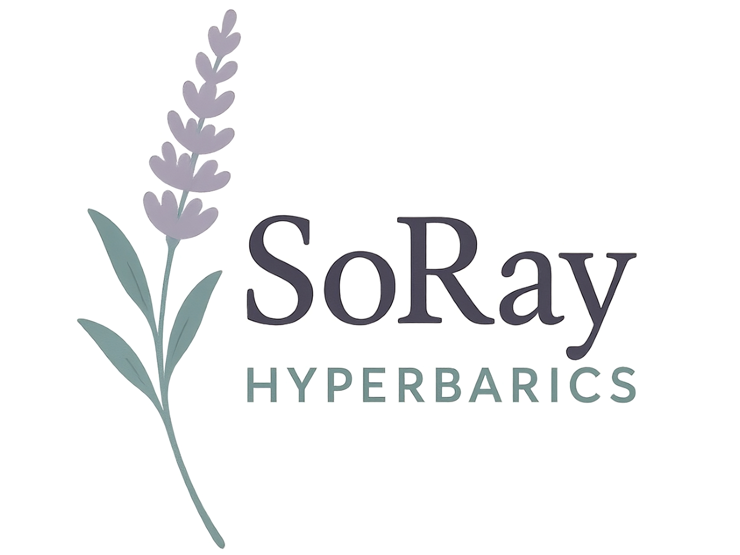 SoRay Recovery Studio