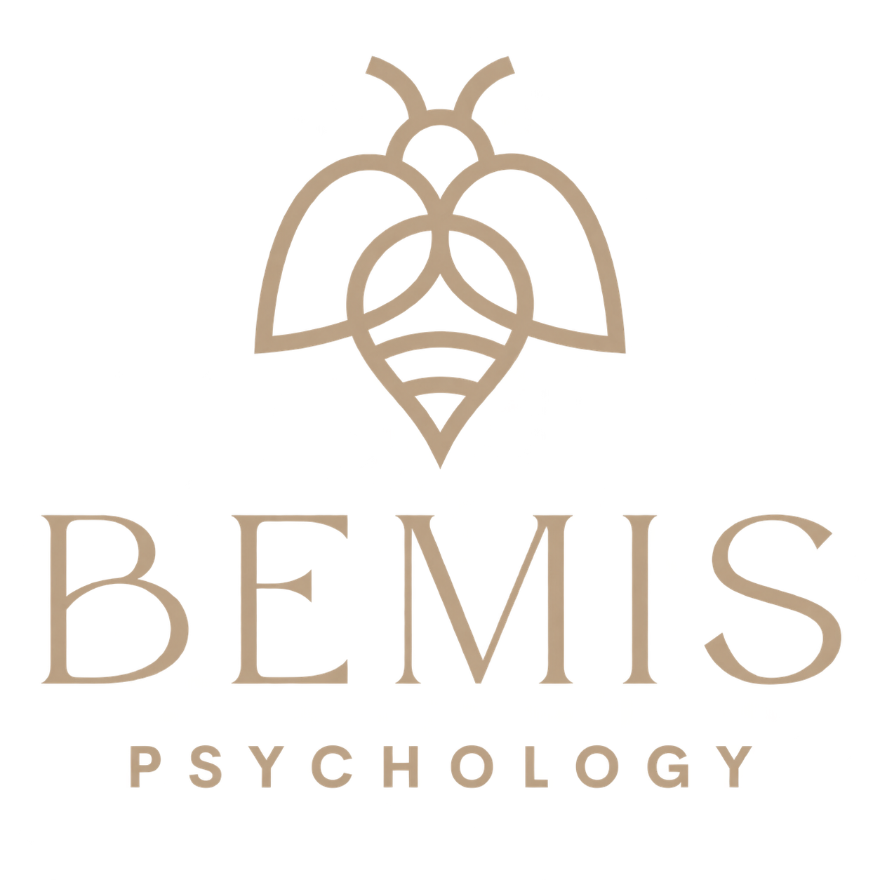 BEMIS PSYCHOLOGY