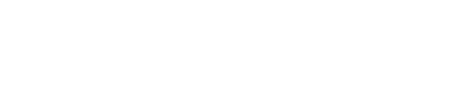 Navigantium