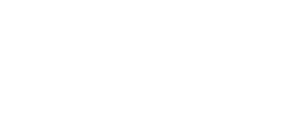 Navigantium