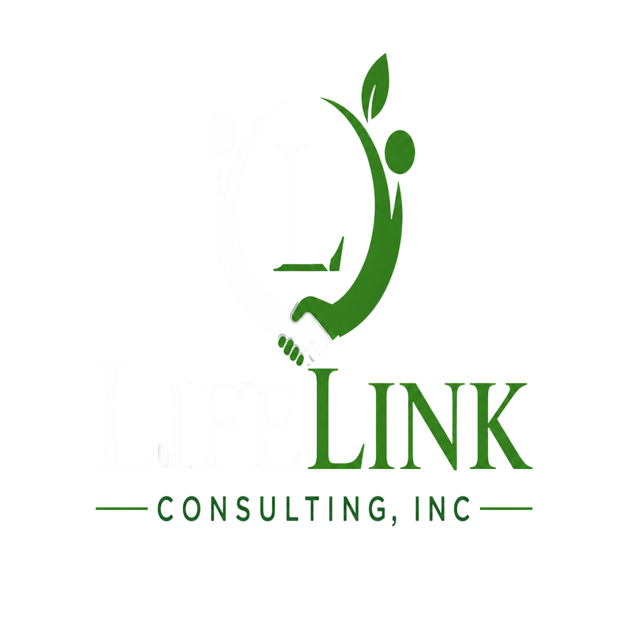 Lifelink Consulting, INC