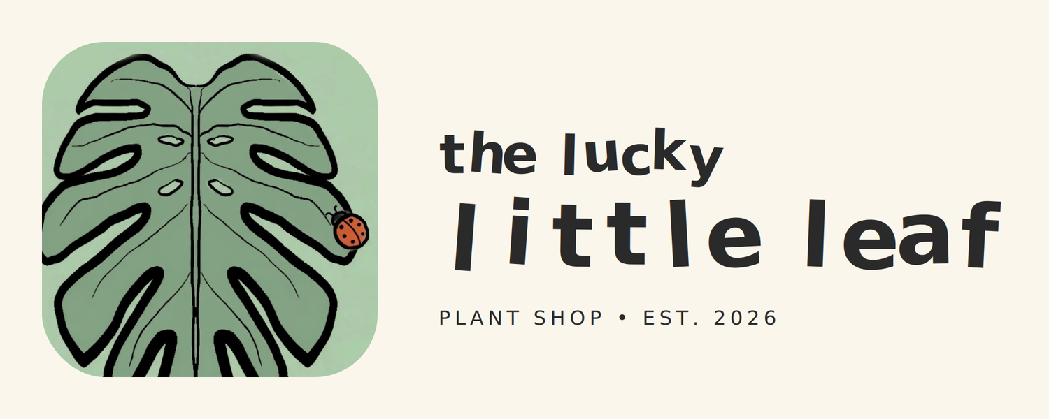 The Lucky Little Leaf