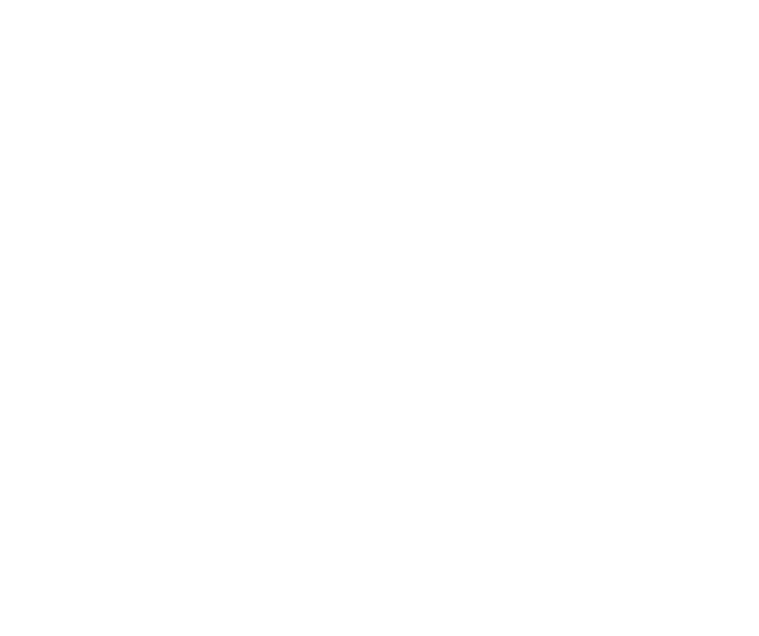 Hybrid Heart