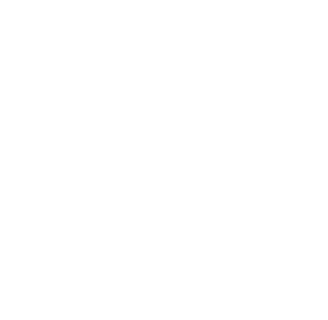 Ark Voyage