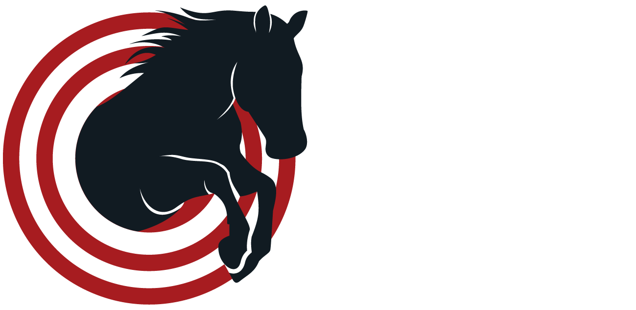 Bullseye Equine