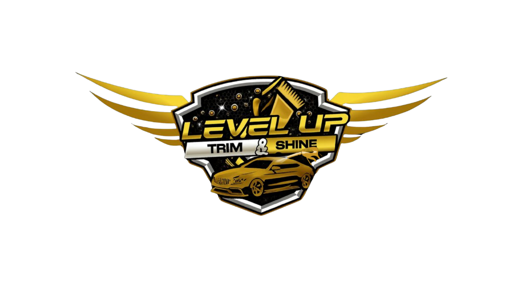 Level Up