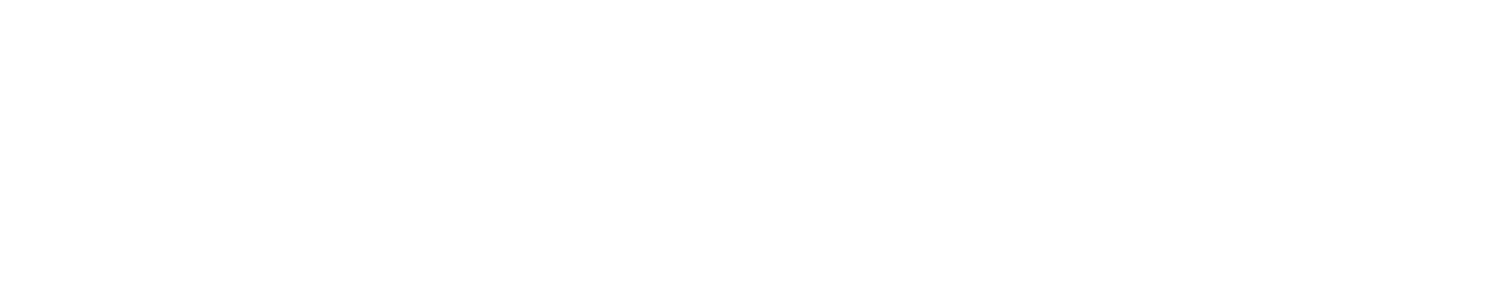 MIM SERVICES