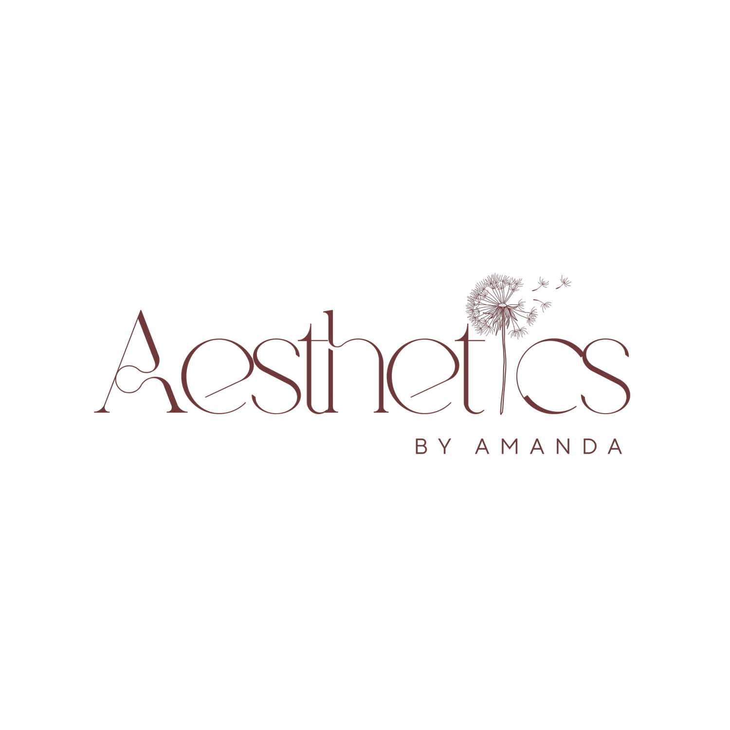 Aesthetics By Amanda | Buffalo, NY