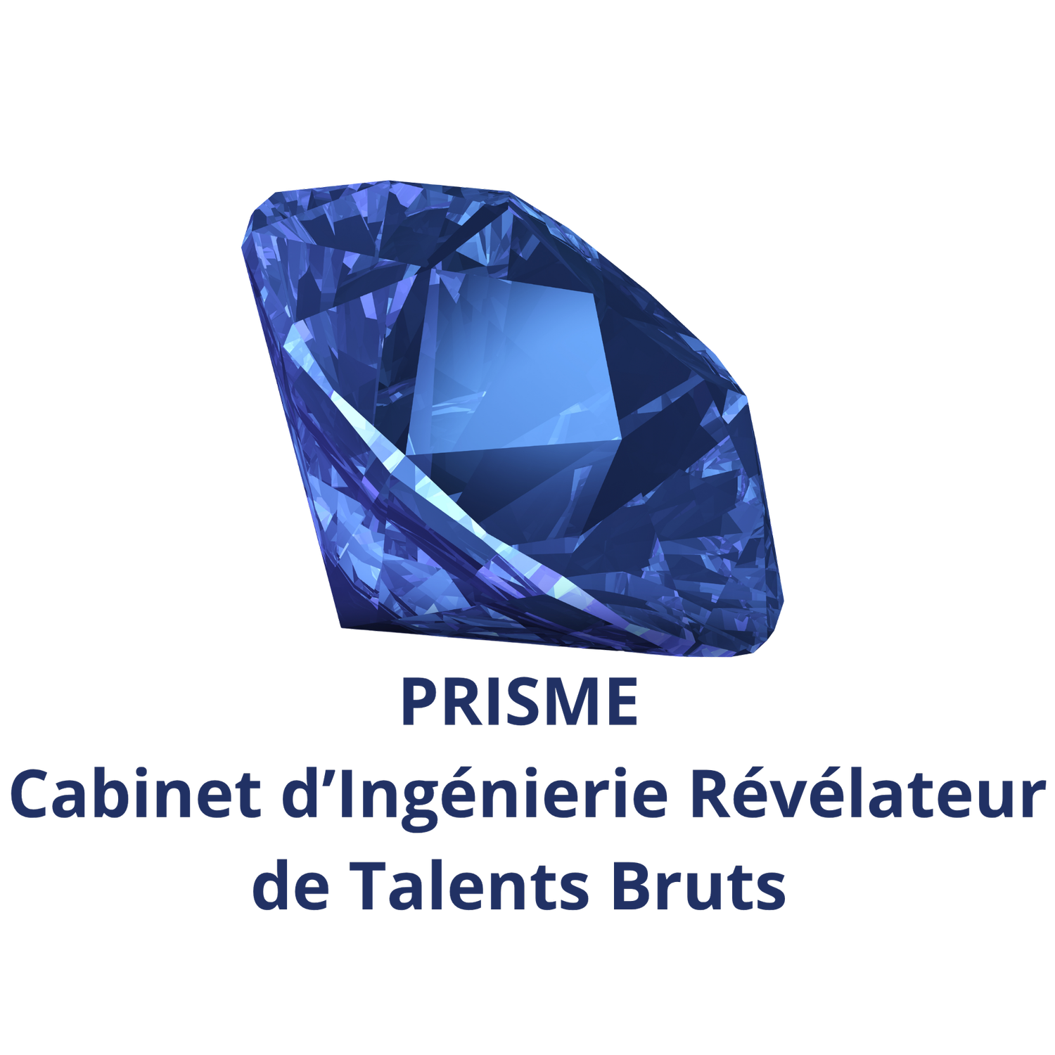 Cabinet d'Ingénierie Révélateur de Talents Bruts