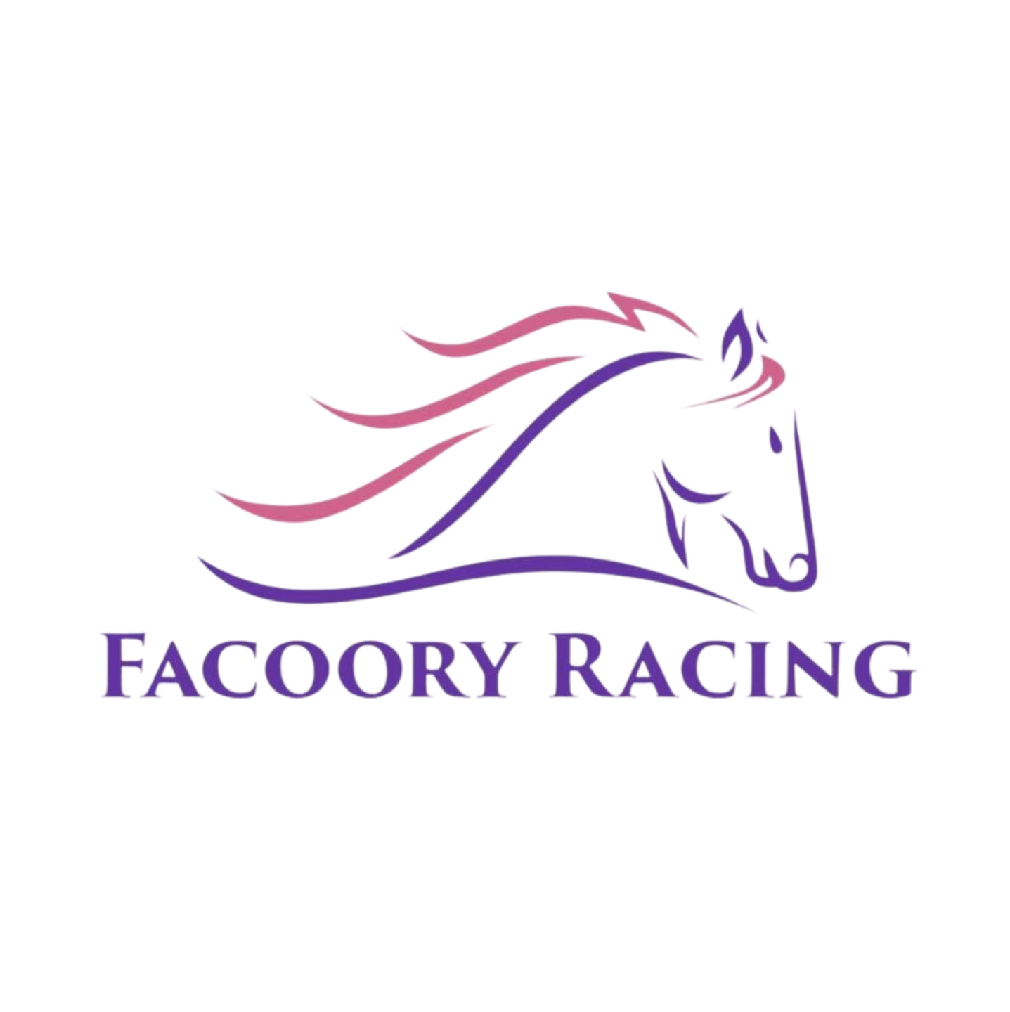 Facoory Racing