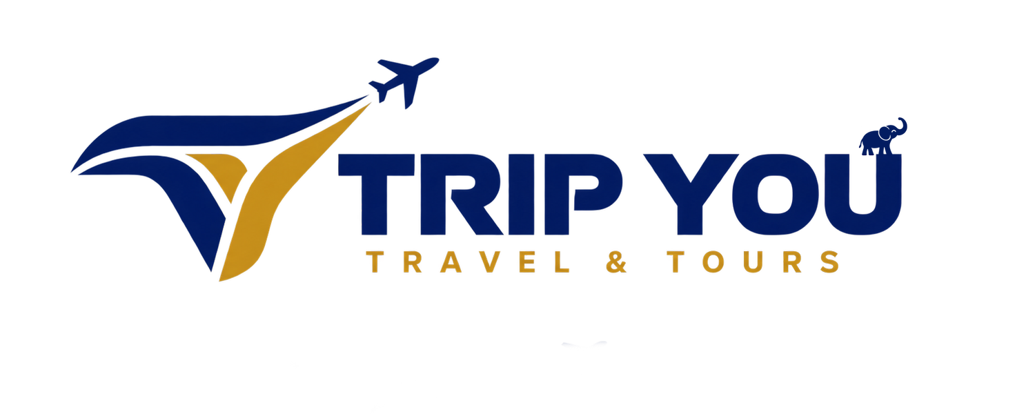 TripYou logo