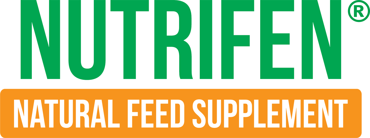 Nutrifen Natural Feed Supplement