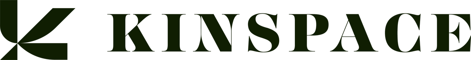 KinSpace