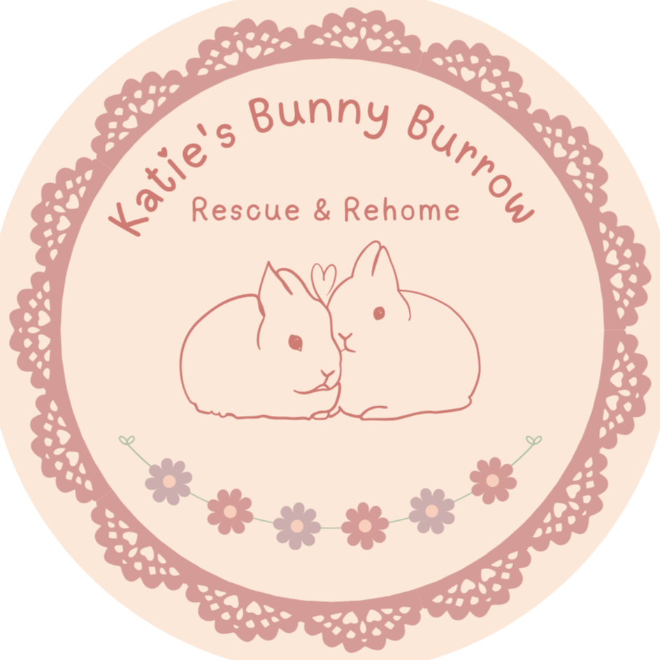 Katie's Bunny Burrow
