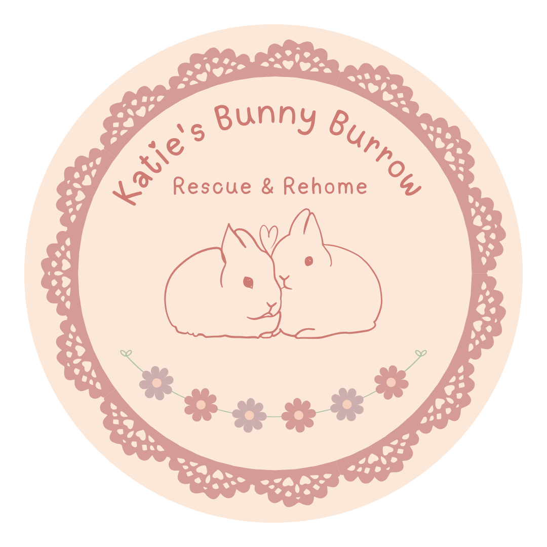 Katie's Bunny Burrow