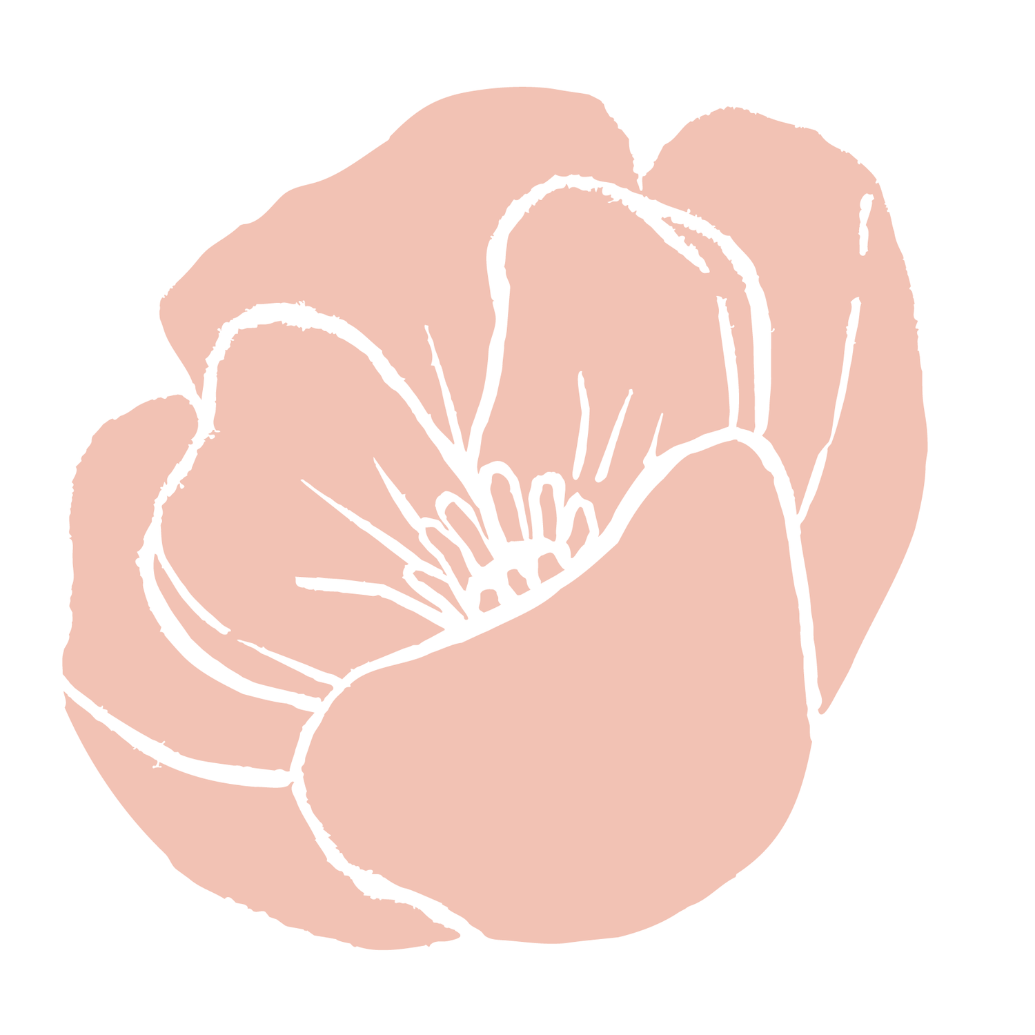Poppy + Honey