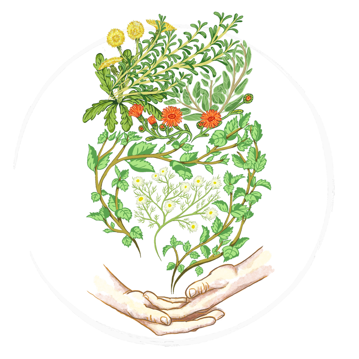 Nourish Within Nutrition