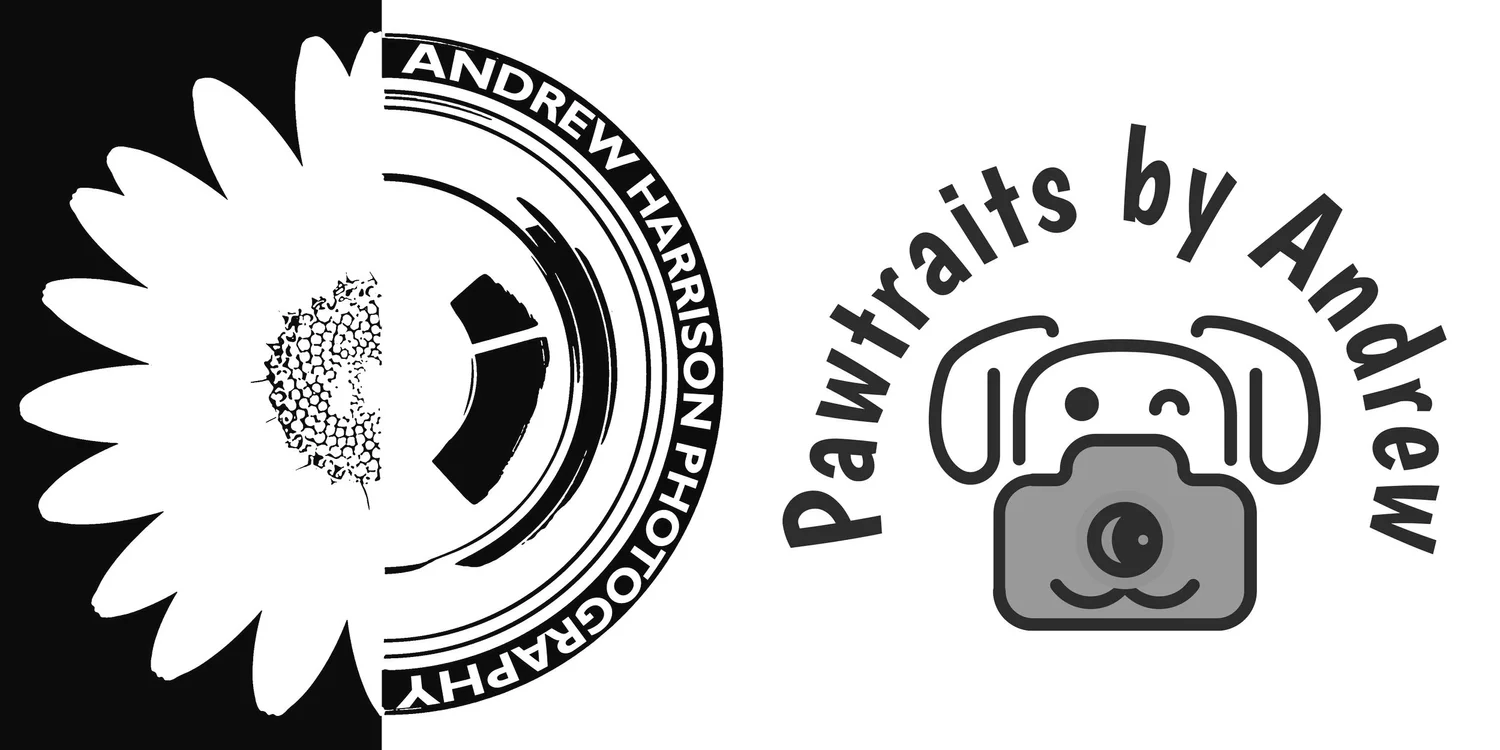 Andrew Harrison Photography (Copy)