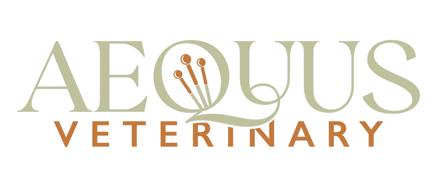 AEQUUS VETERINARY