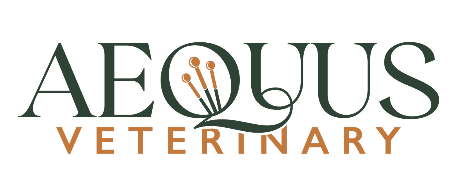 AEQUUS VETERINARY